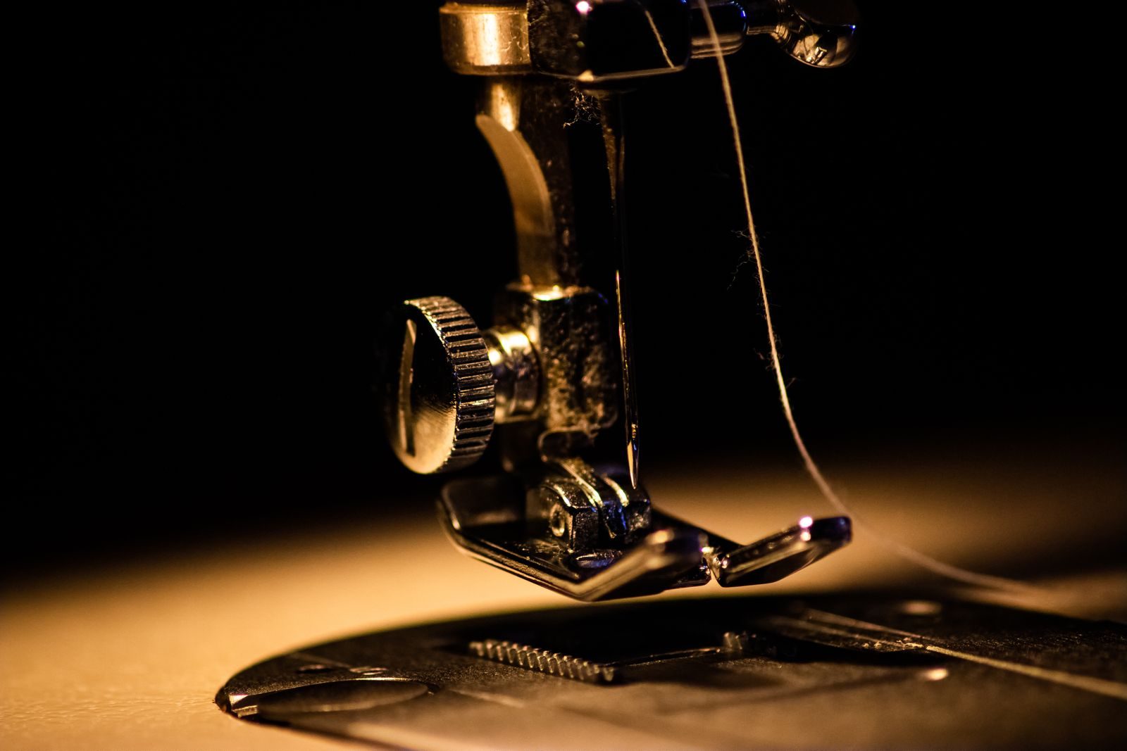 Sewing needle and thread in close-up